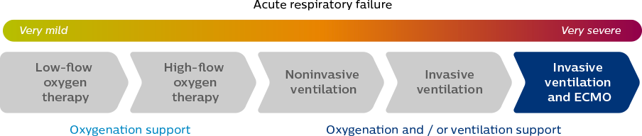 Invasive ventilation and ecmo image