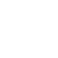 Globe icon