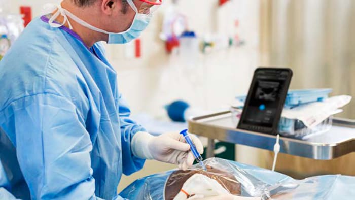 Professionnel de la santé utilisant un échographe portable et examinant les résultats
