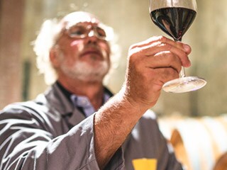 Les grains de café contiennent 800 caractéristiques de saveur