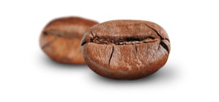 Robusta coffee