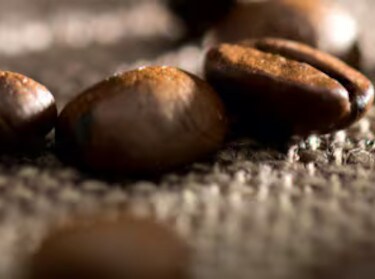 Grains de café bio
